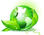 What are biomass? What are biomass?