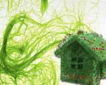 In Germany, here you are the ecological house powered by algae