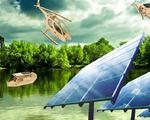 Photovoltaic games, solar gadgets, office and fashion
