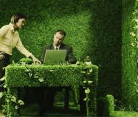 Vivere "green" anche in ufficio