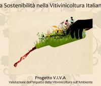 Viticoltura sostenibile in Italia: il progetto VIVA per la sostenibilità della filiera vite-vino