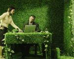 Vivere "green" anche in ufficio