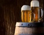 Gli scarti della birra diventano Biochar per riequilibrare il cambiamento climatico Gli scarti della birra diventano Biochar per riequilibrare il cambiamento climatico