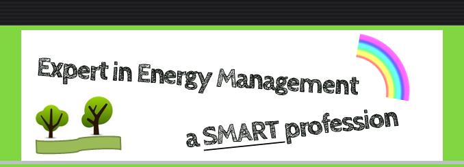 Expert in Energy Management