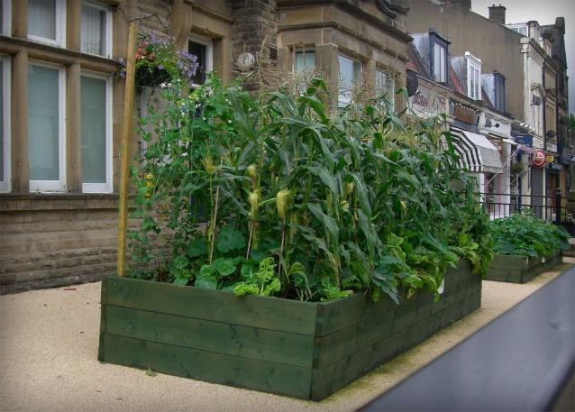 Food revolution in Todmorden